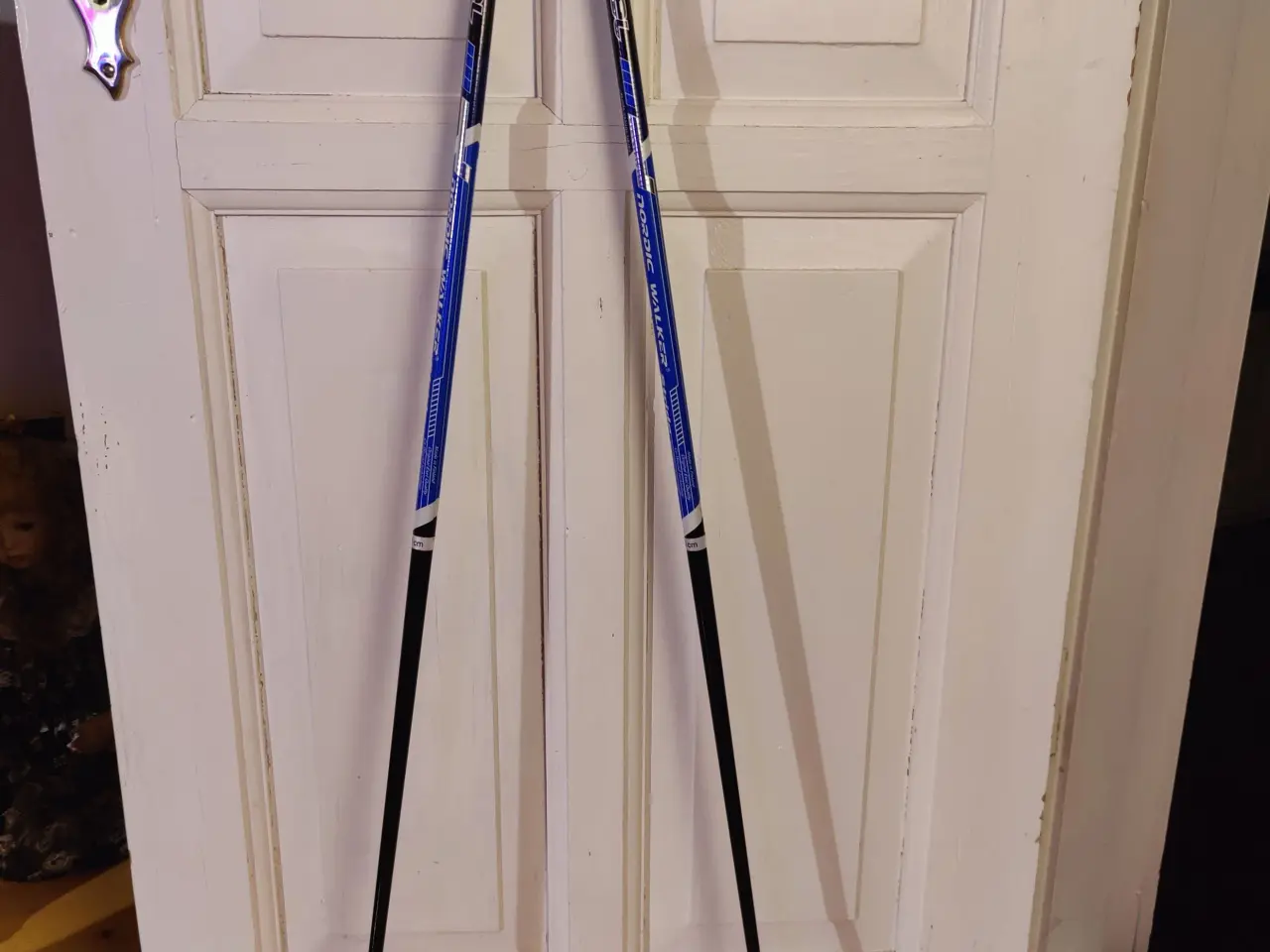 Billede 1 - Exel Nordic walker stride stave