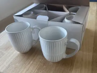 Steinvert 6 hvide krus