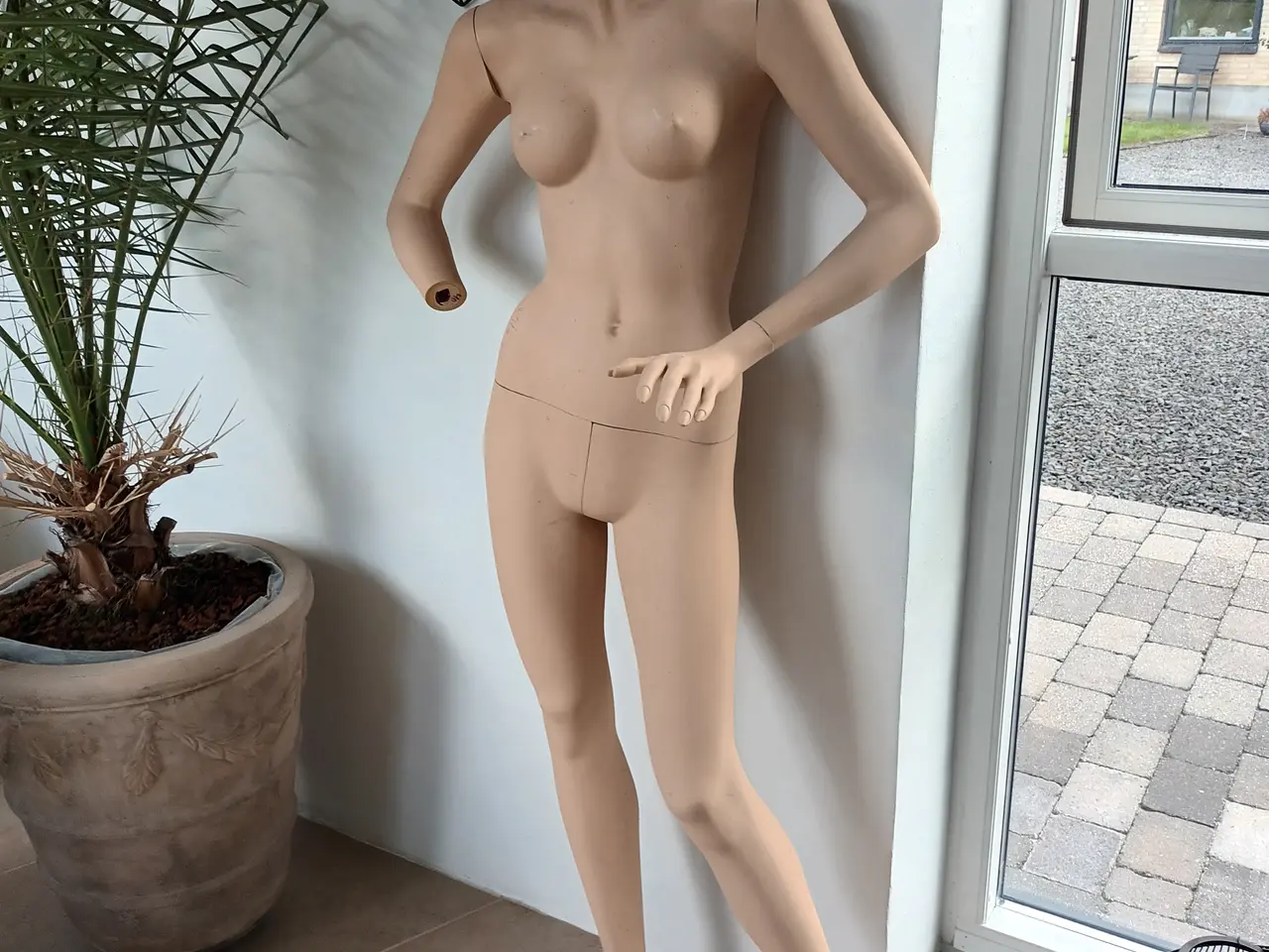 Billede 1 - Mannequindukker fullsize