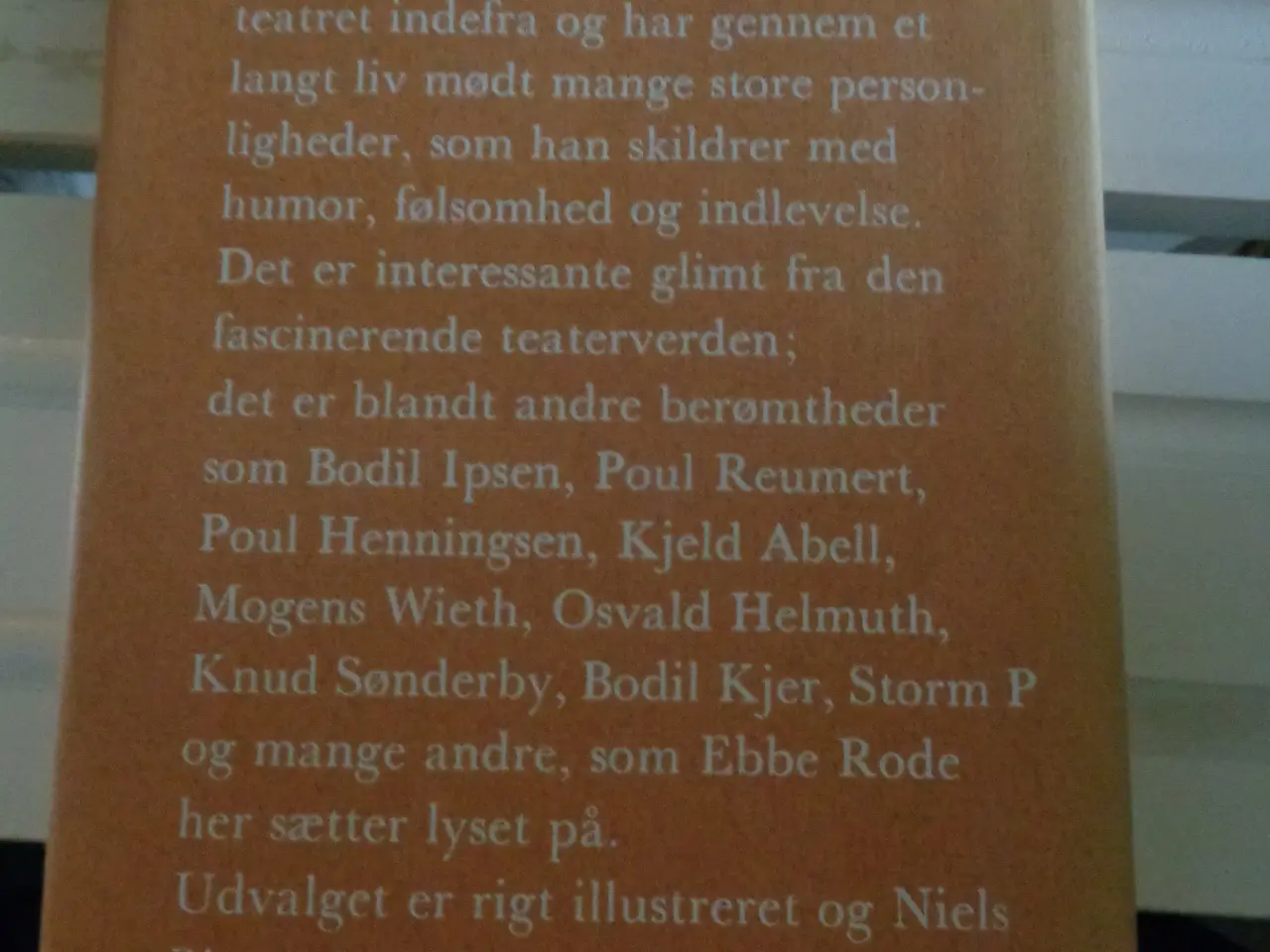 Billede 2 - På stikord