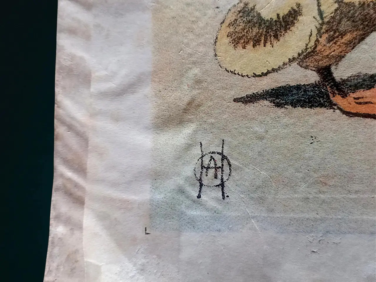 Billede 2 - Antik skoleplakat gråænder D.B.148
