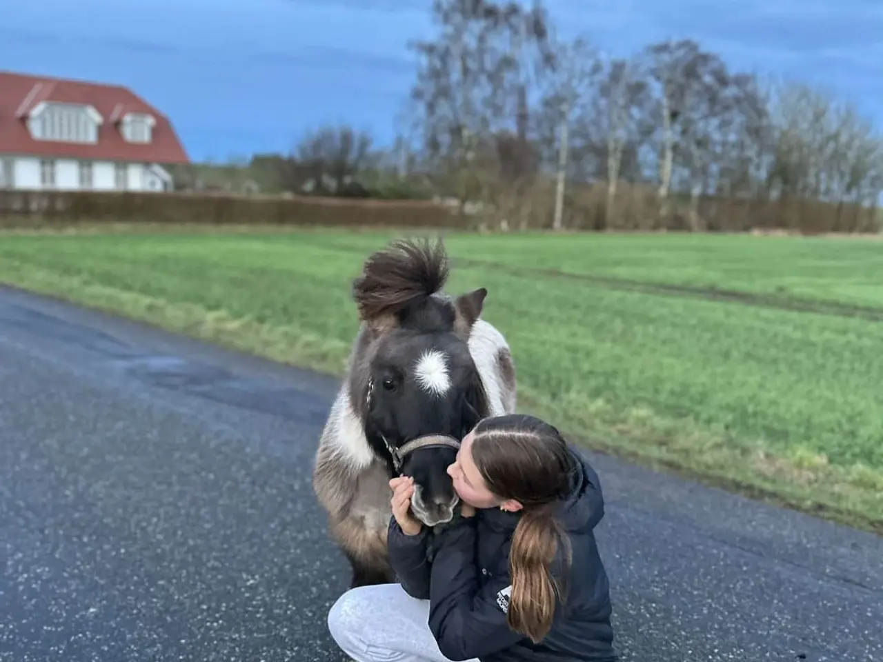 Billede 3 - Bedækning tilbydes