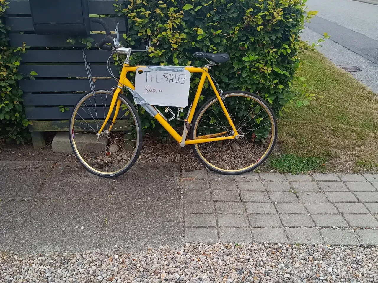 Billede 2 - Recer  cykel 