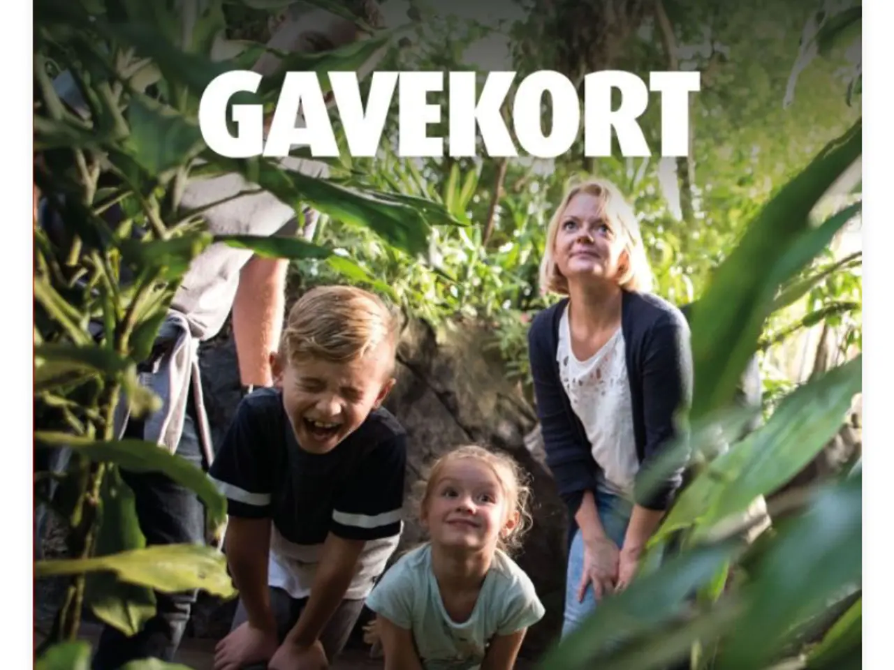 Billede 4 - Gavekort til entré i Randers regnskov