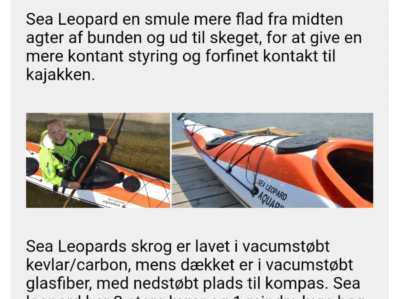 Billede 2 - Aqarius Sea Leopard + tilbehør