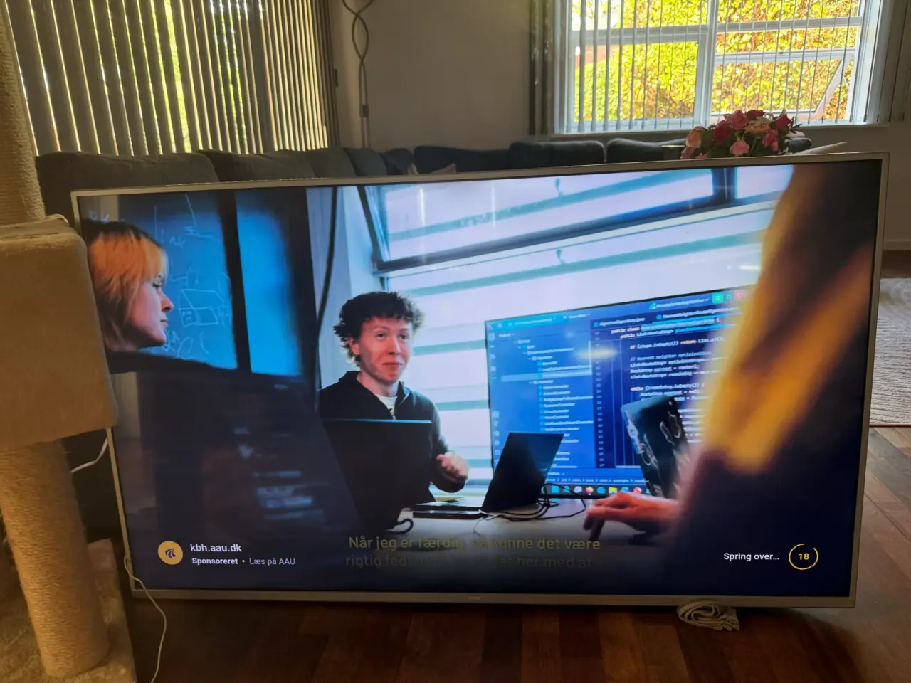 Billede 3 - Philips 55” Smart TV