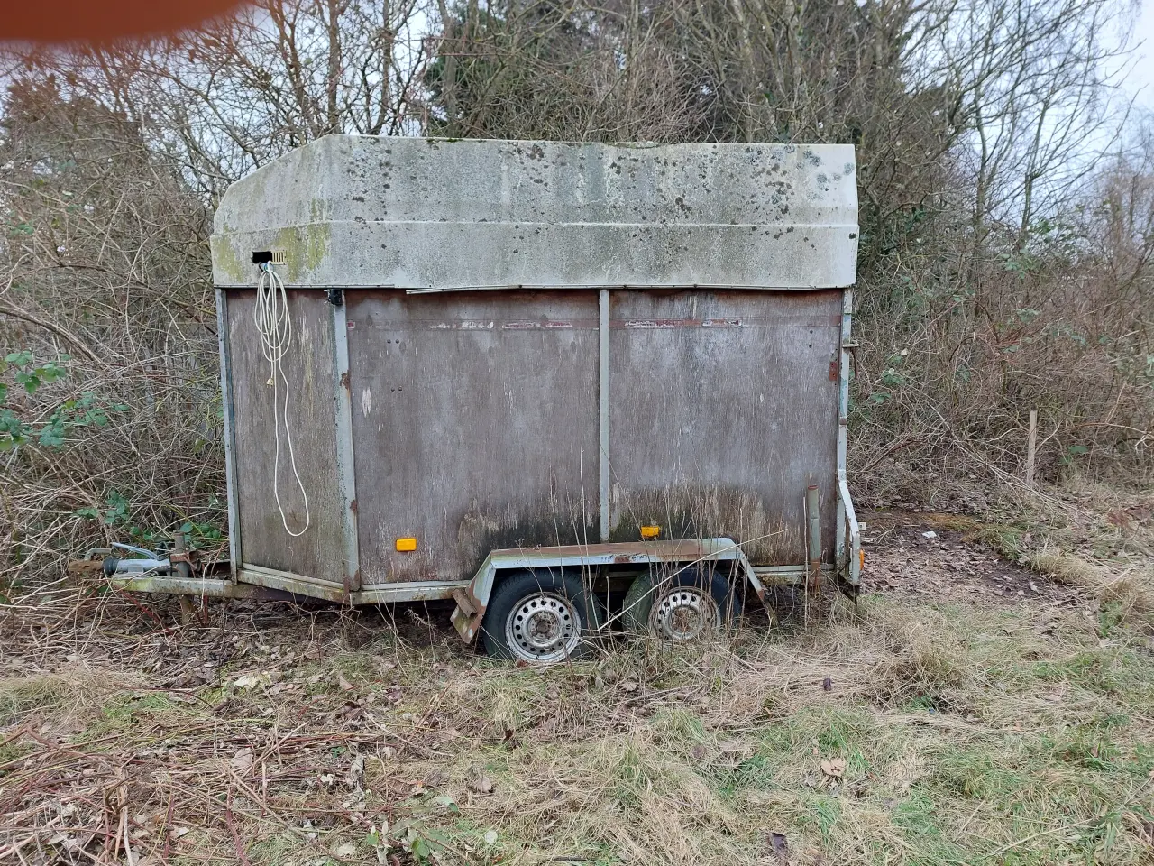 Billede 1 - Hestetrailer