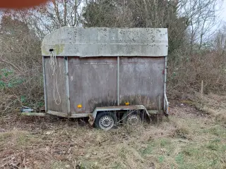 Hestetrailer