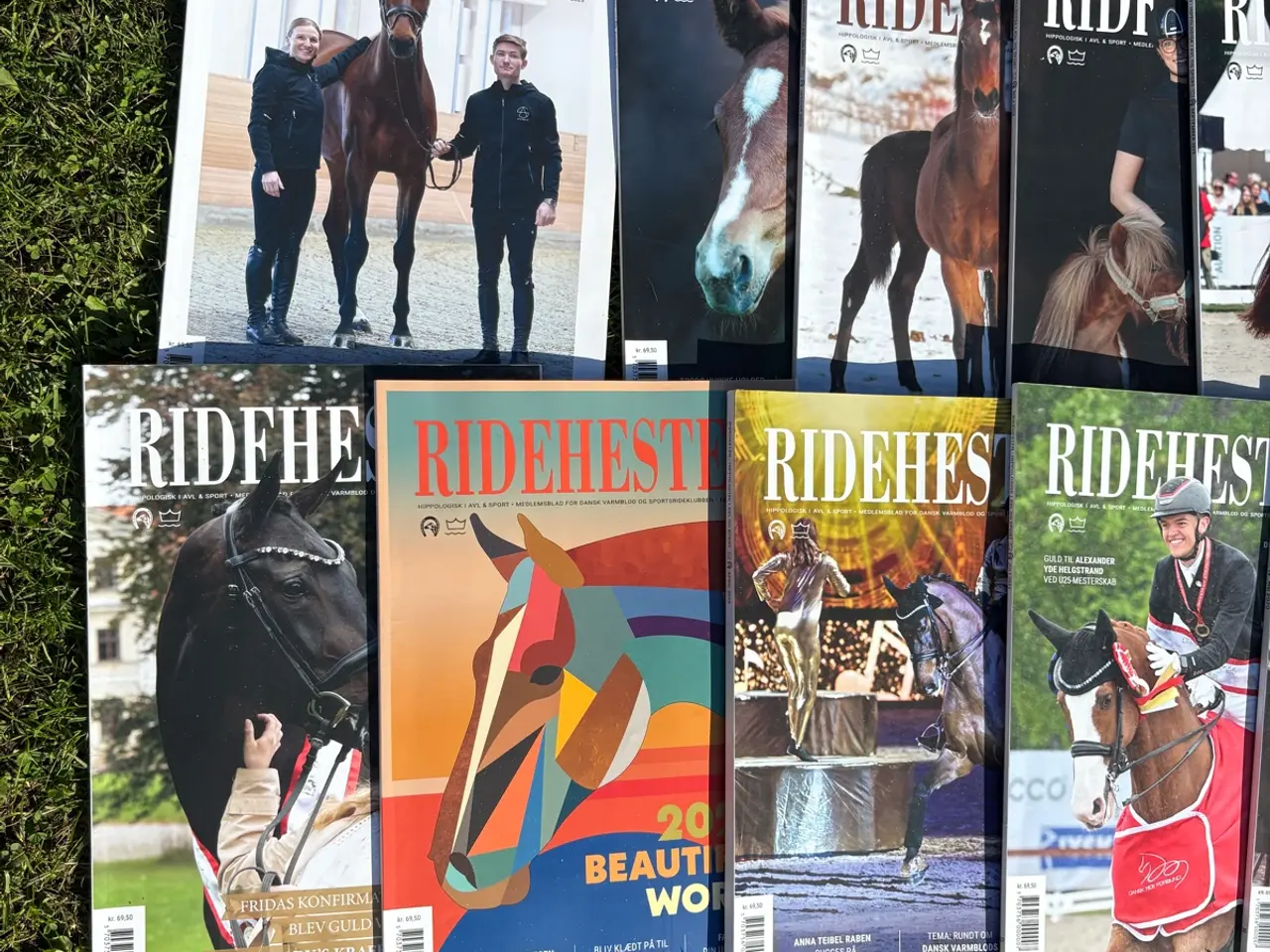 Billede 2 - Ridehesten - 10 stk