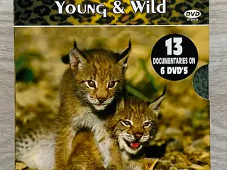 Animal Life Young & Wild - Den komplette samling