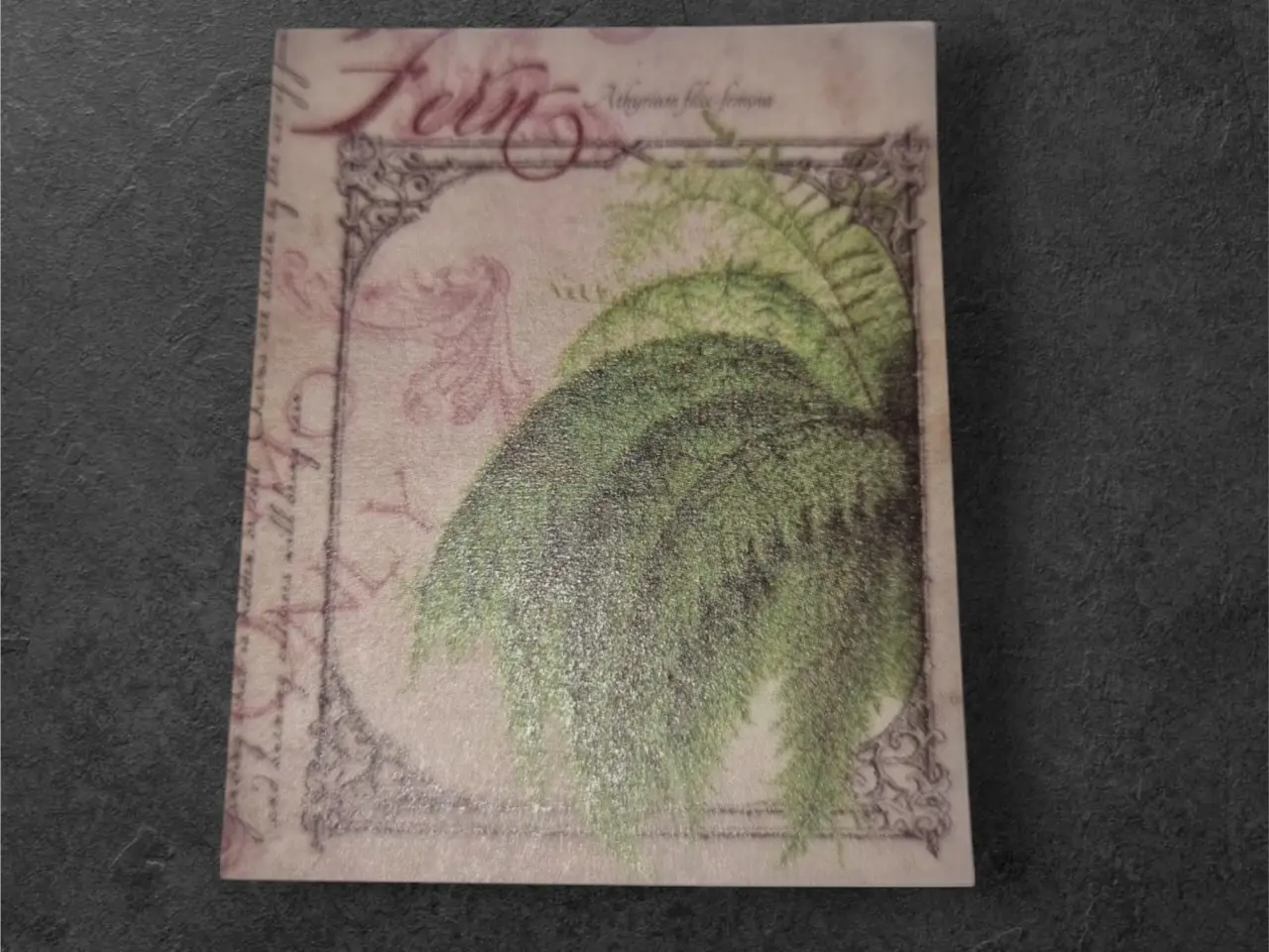 Billede 2 - Annonce 27 - Hobby