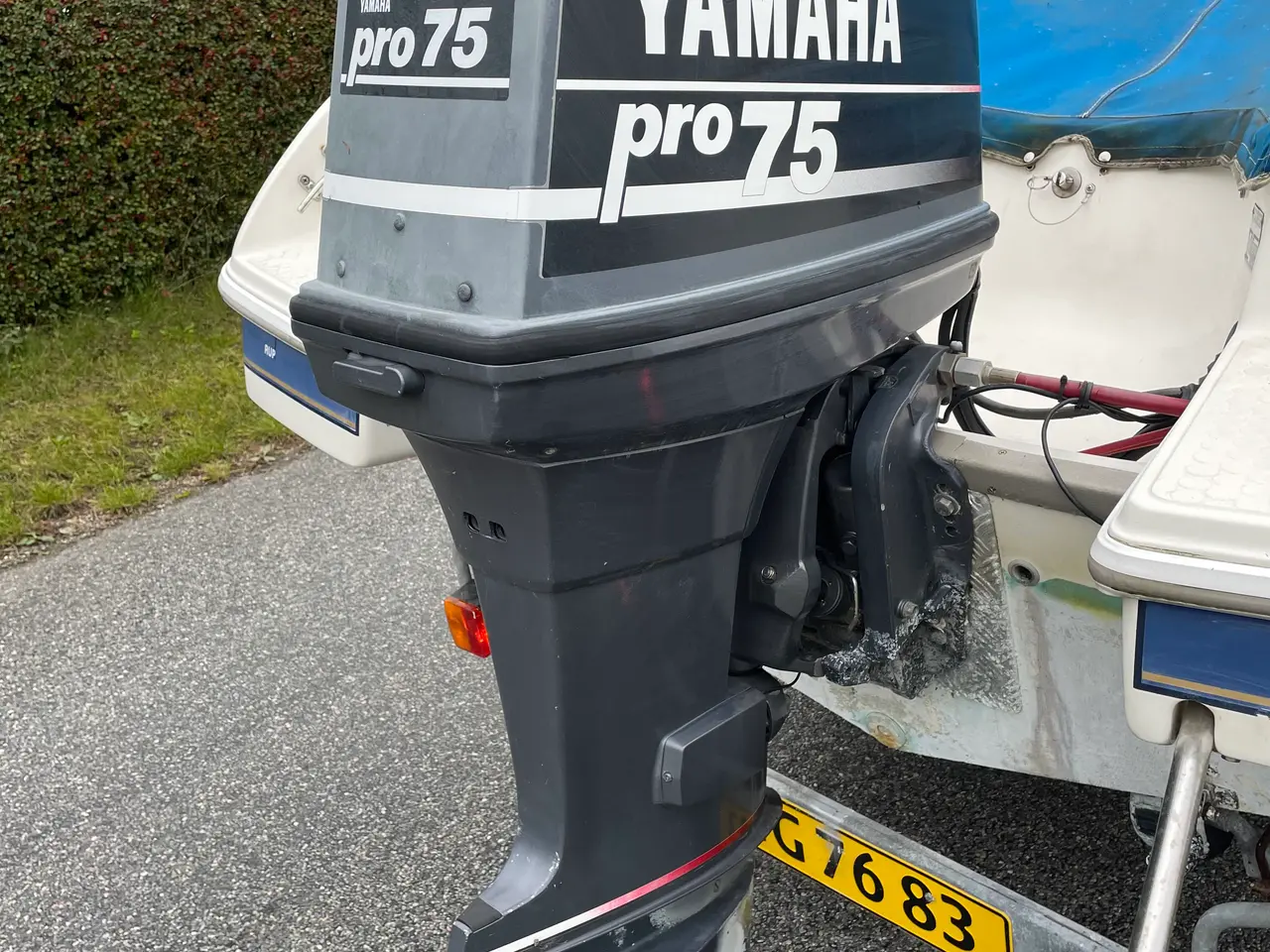 Billede 4 - Campion 485 VR med tlh. Yamaha 75 og trailer