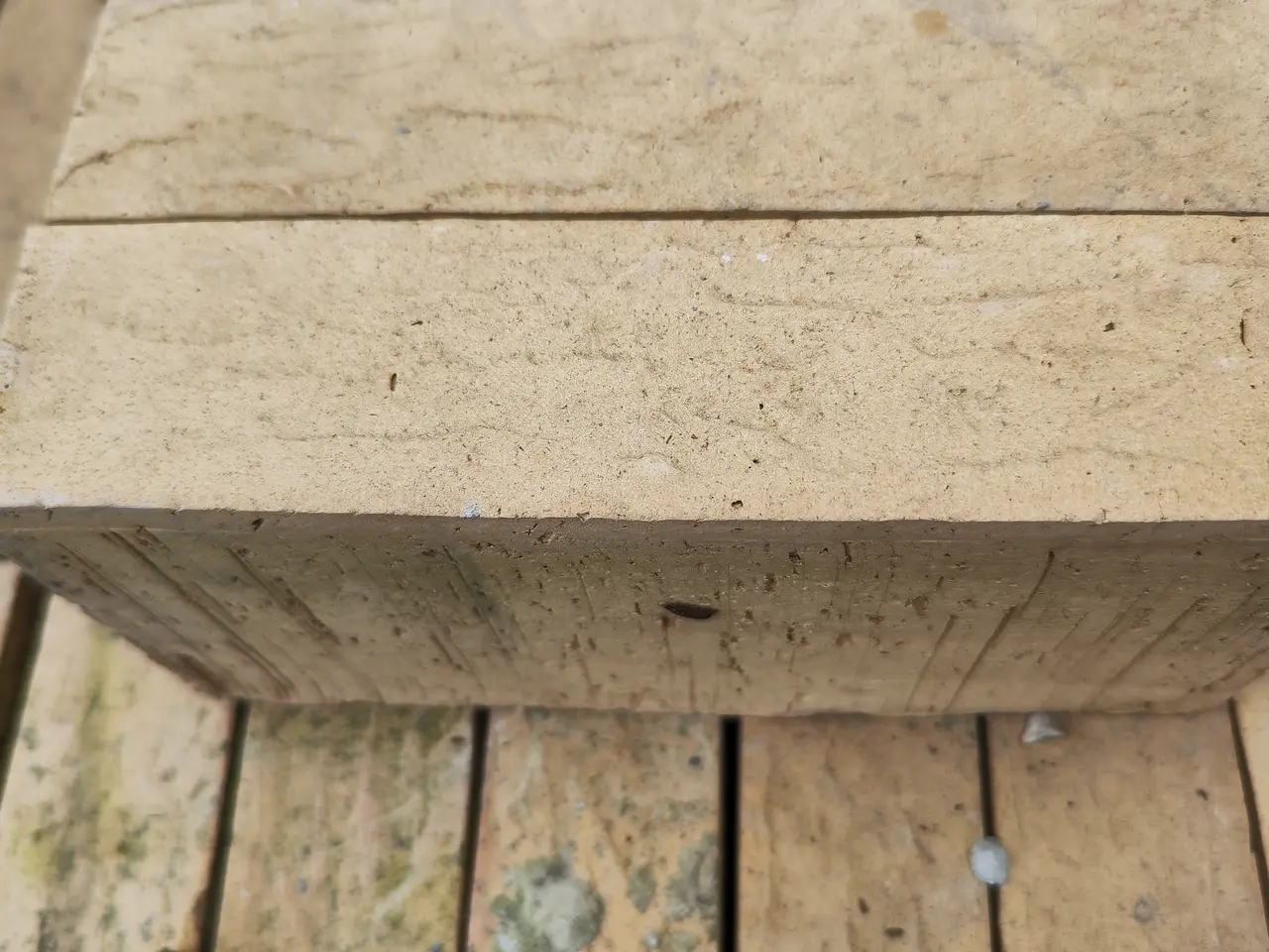 Billede 2 - 400 gule Muersten
