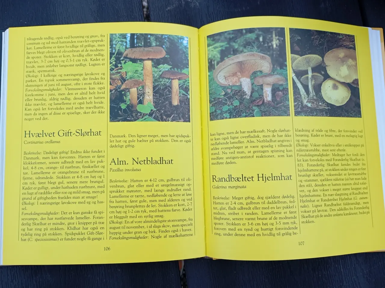 Billede 8 - Poiltikens Svampe Kogebog