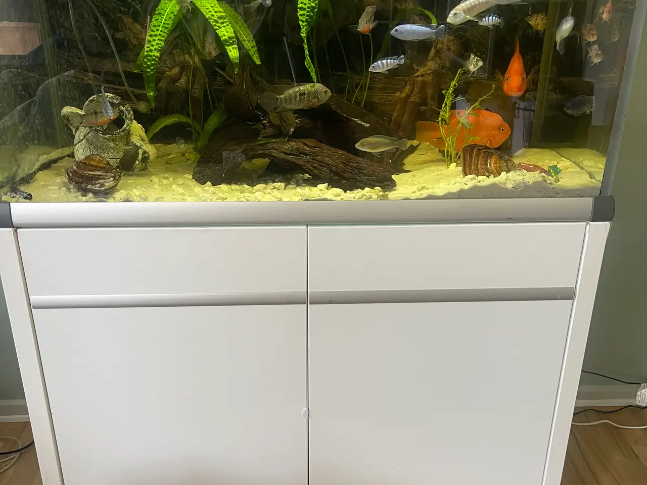 Billede 1 - 250liter akvarie med underskab og spamfilter