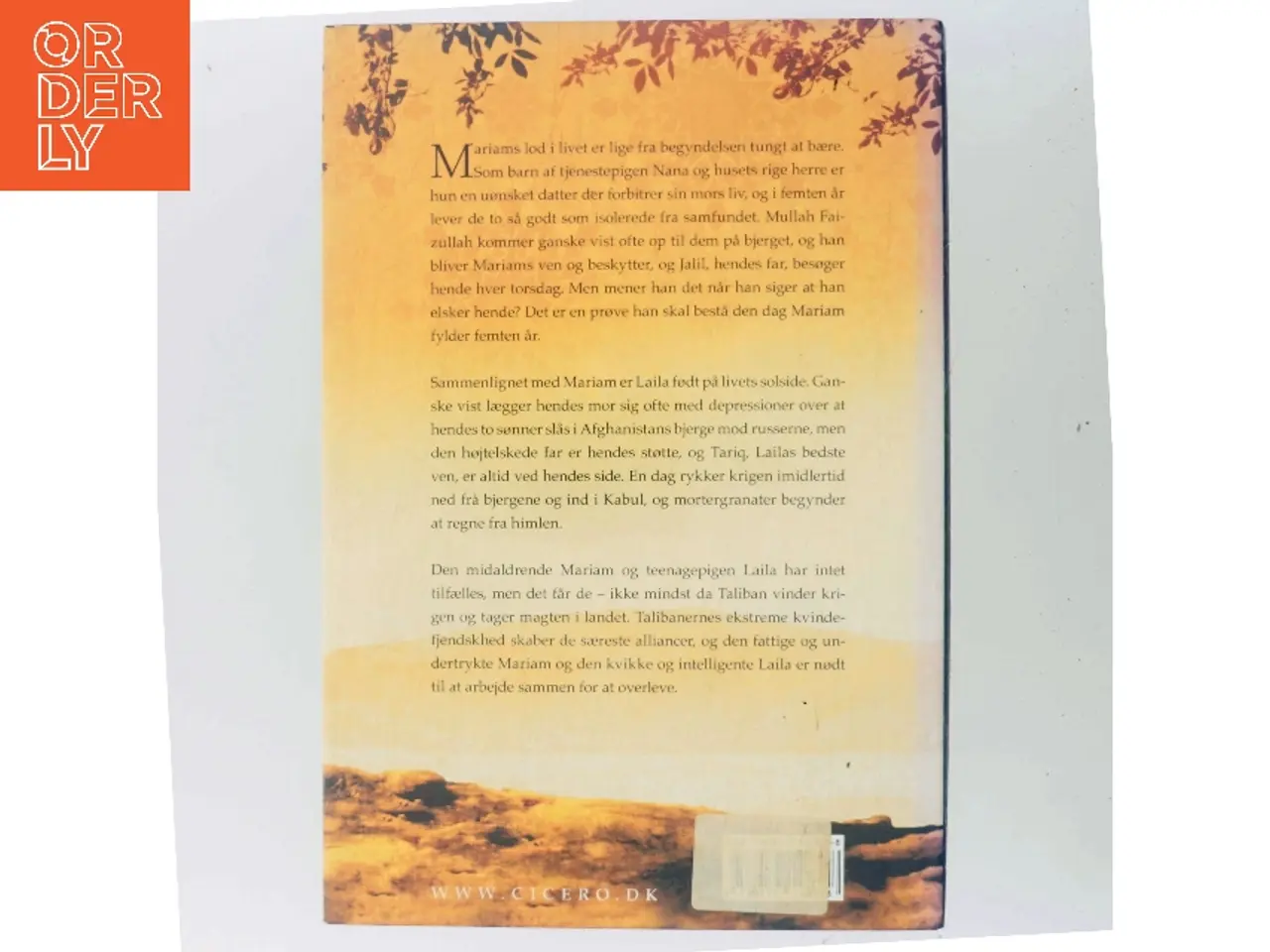 Billede 3 - Under en strålende sol af Khaled Hosseini (Bog)