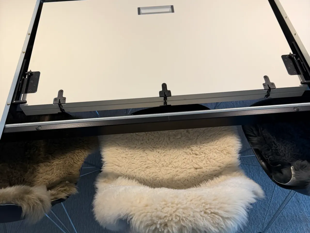 Billede 1 - Paustian spisebord inkl. 8 Eames stole