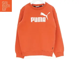 Puma sweatshirt (str. 140 cm)