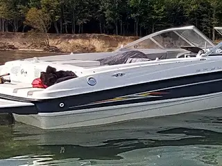 Bayliner speedbåd m trailer