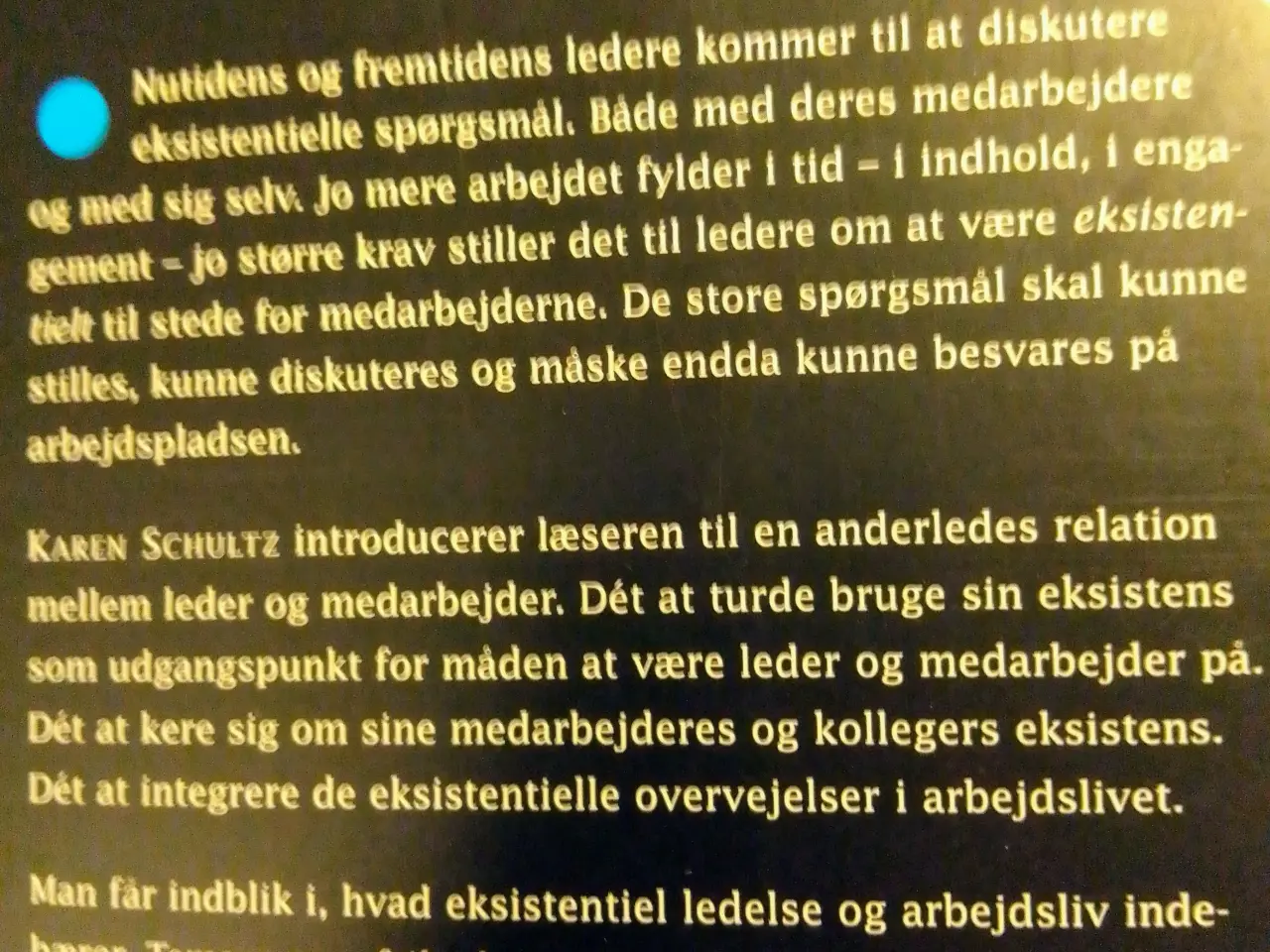 Billede 1 - Bog om eksistensiel ledelse og arbejdsliv.