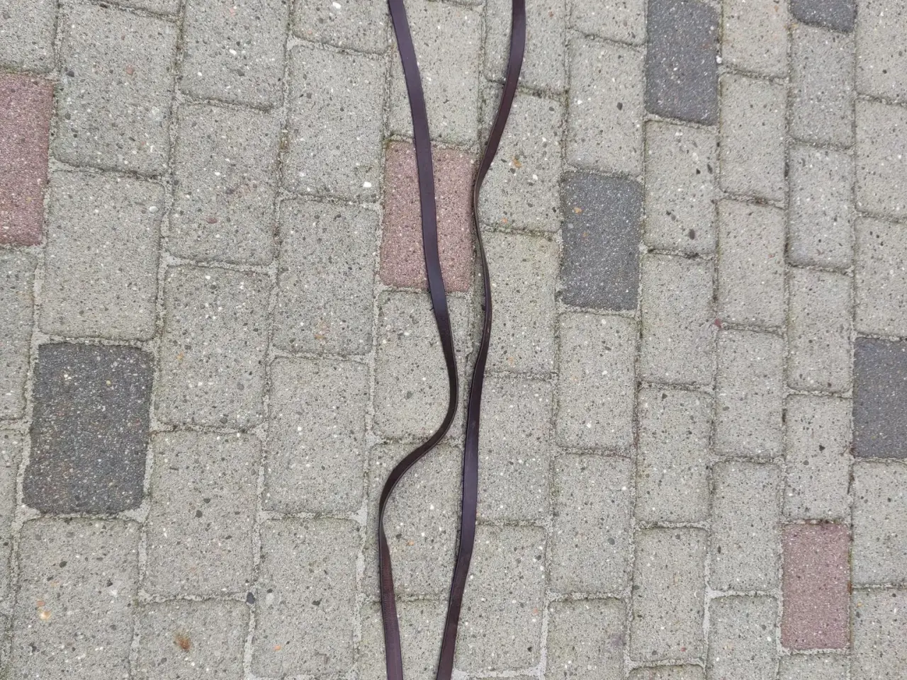 Billede 1 - Tøjler