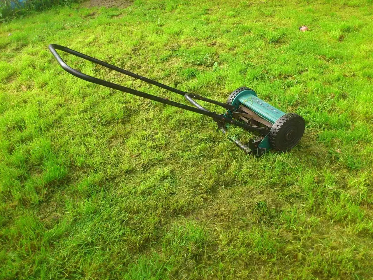 Billede 3 - L) Miljøvenlig plæneklipper