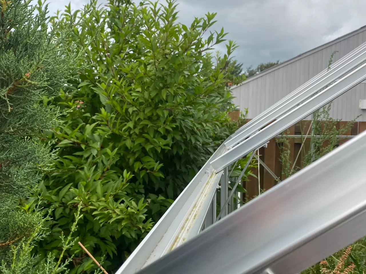 Billede 7 - Drivhus uden glas