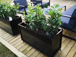 Plantekasse i Alu