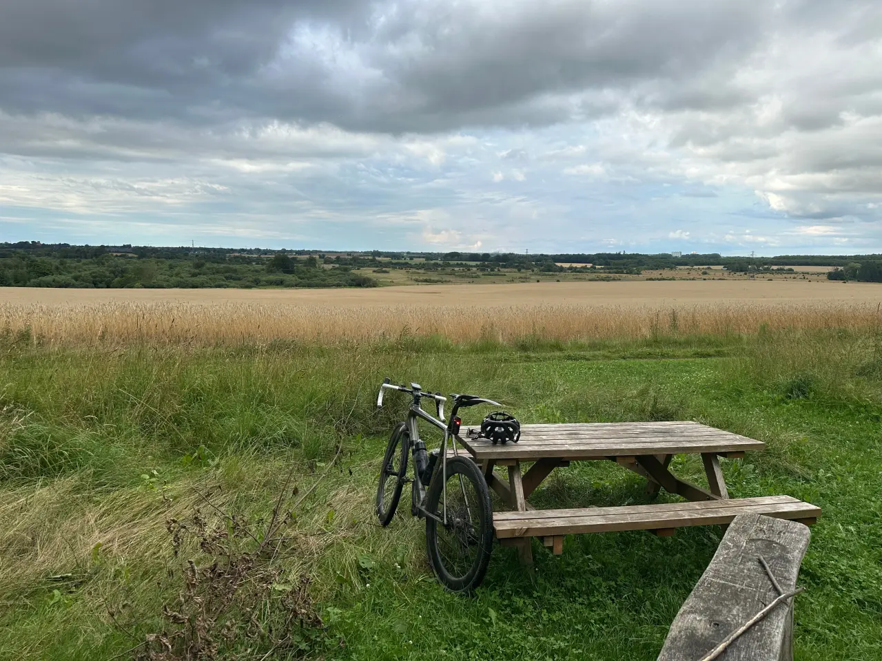 Billede 2 - UDLEJES - Cannondale SuperX AXS