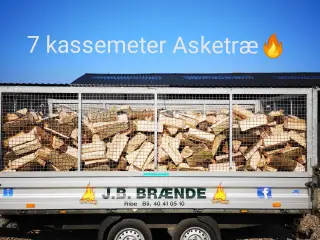 TØRT BRÆNDE PÅ LAGER, LØVTRÆ ELLER NÅLETRÆ