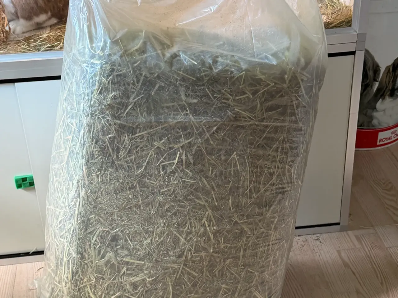 Billede 3 - Timothy Hø 10 kg kanin / marsvin