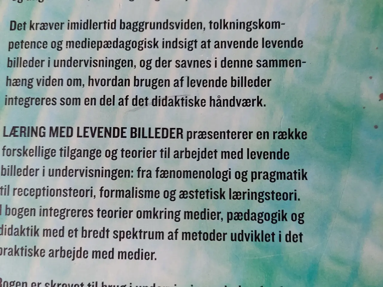 Billede 3 - Læring med levende billeder