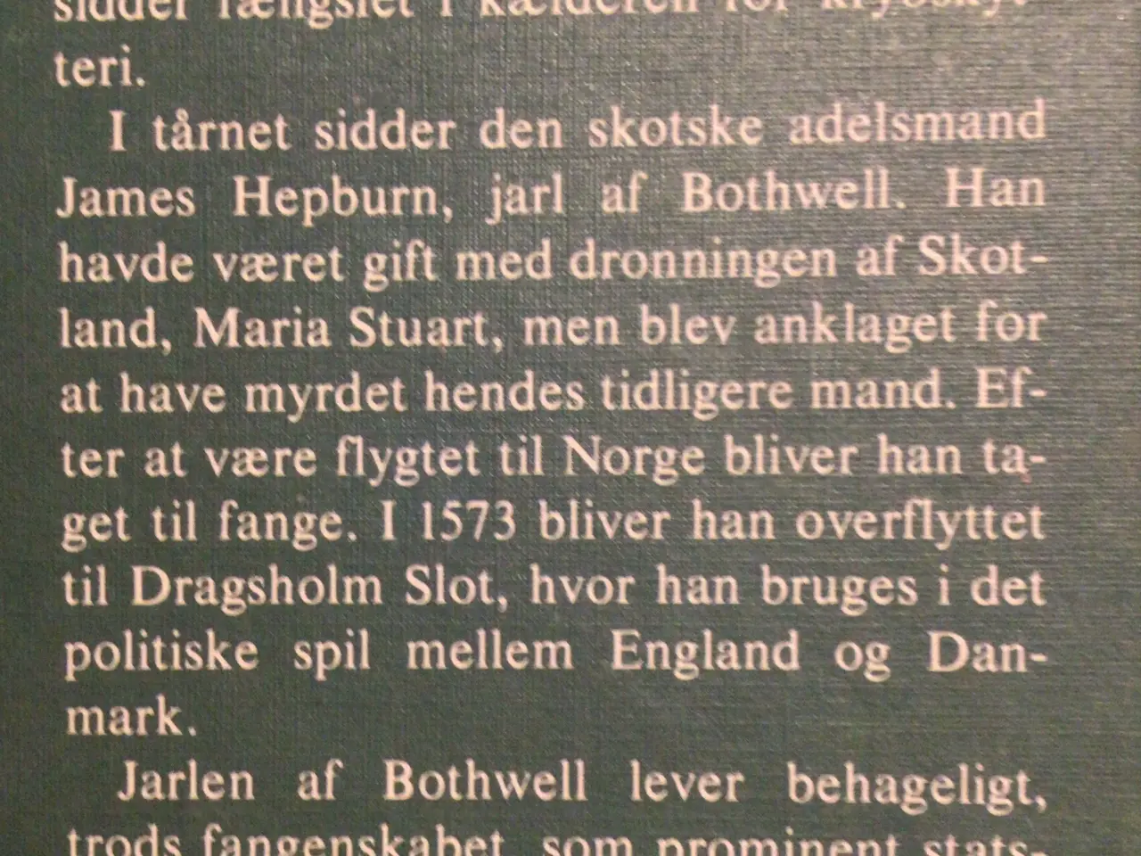 Billede 2 - Brita Hartz : Fangerne på Dragsholm