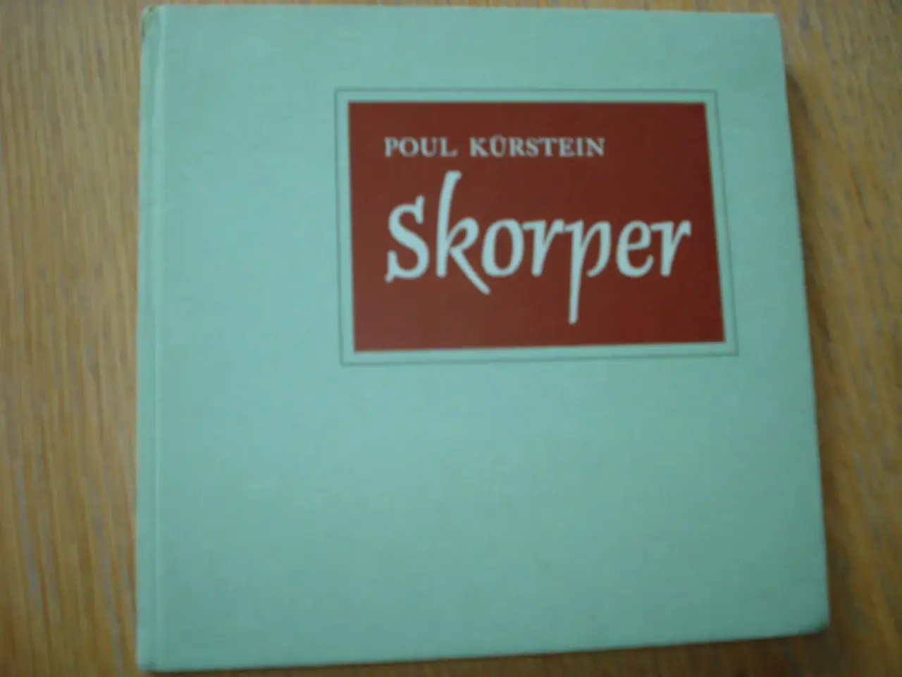 Billede 1 - Skorper
