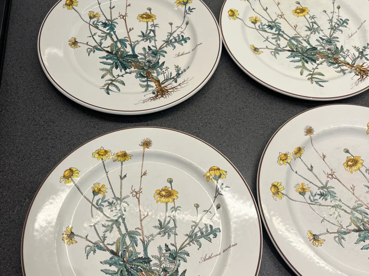 Billede 2 - Villeroy & Boch - Botanica 6 stk middagstallerkene