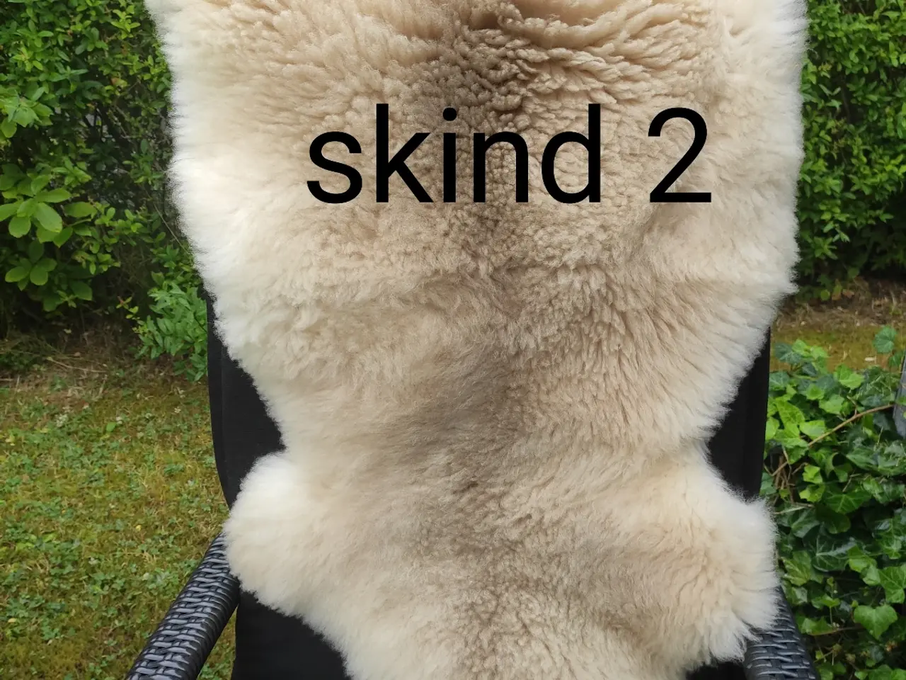 Billede 4 - Flotte lyse lammeskind - har 3 stk.
