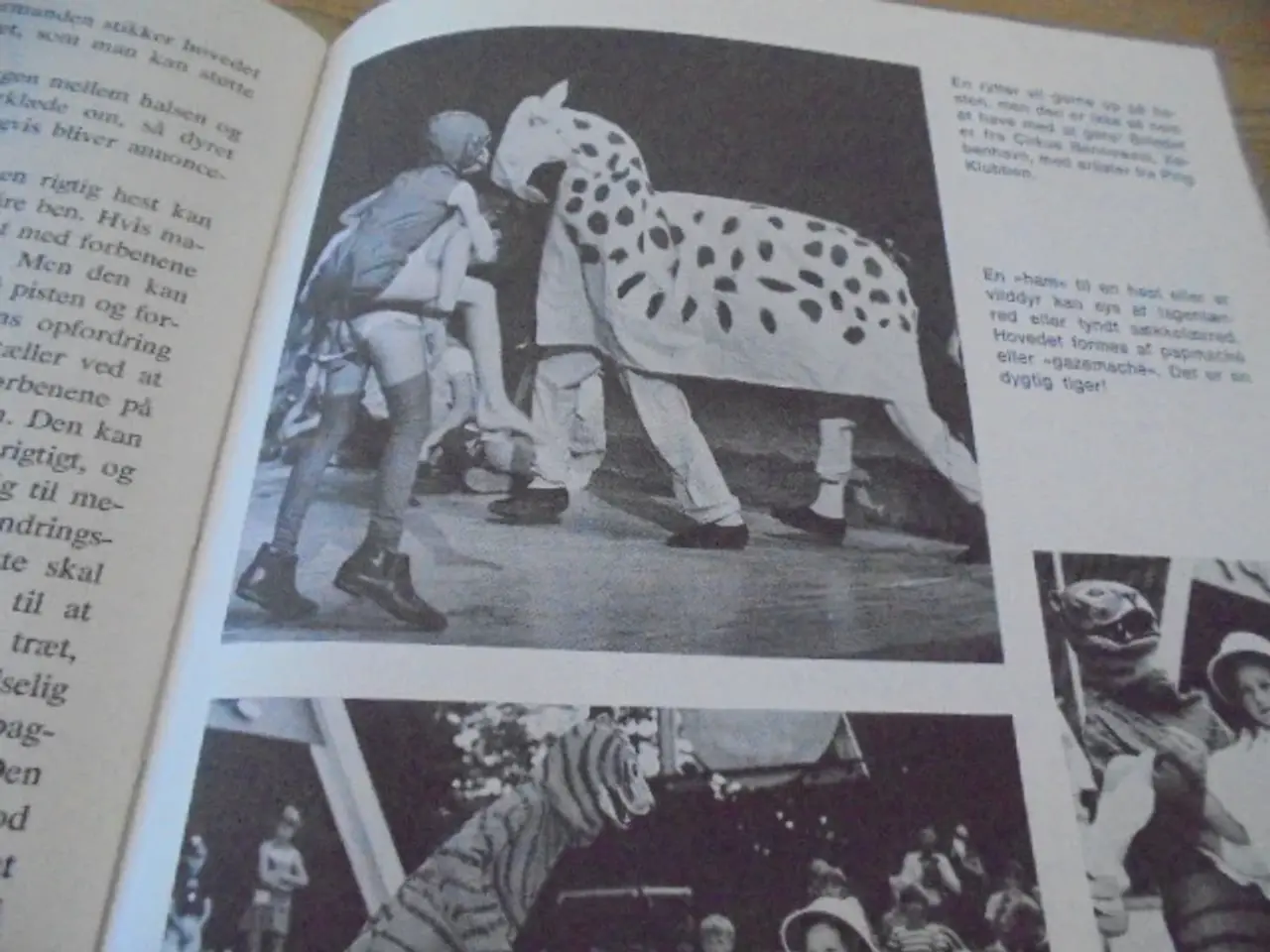 Billede 6 - Vi leger cirkus – Anders Enevig