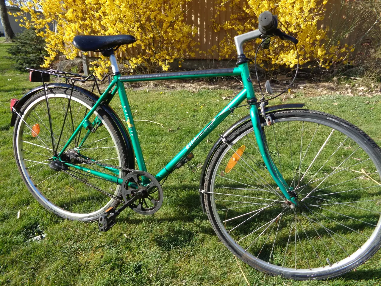 Billede 2 - Kildemoes