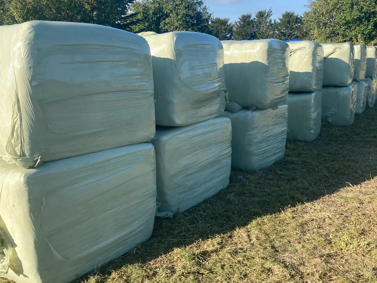 Billede 2 - Wrap 2 slet 2026
