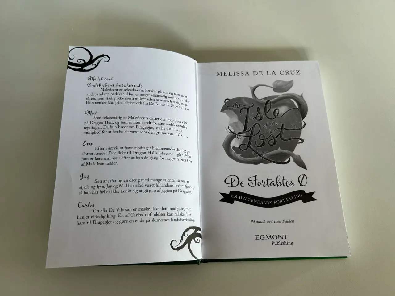 Billede 4 - De fortabtes ø