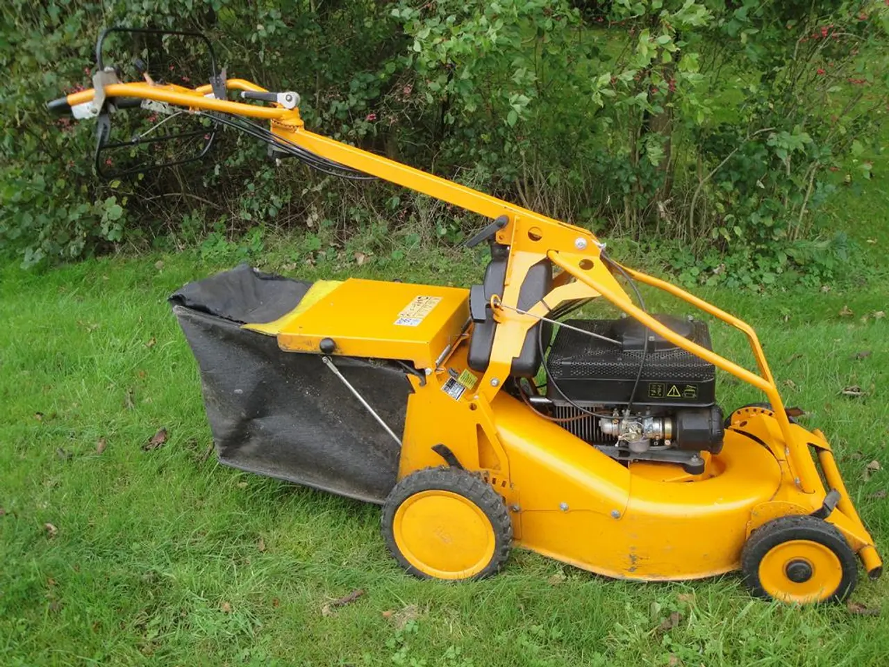 Billede 3 - AS MOTOR AS 530 2T MK