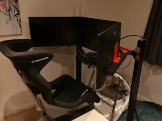 Sim racing setup