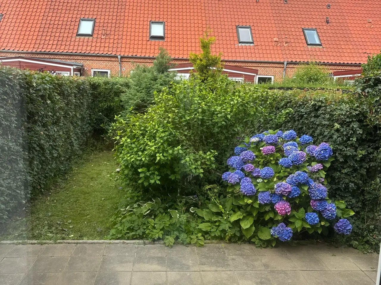 Billede 14 - Rækkehus i Randers NØ