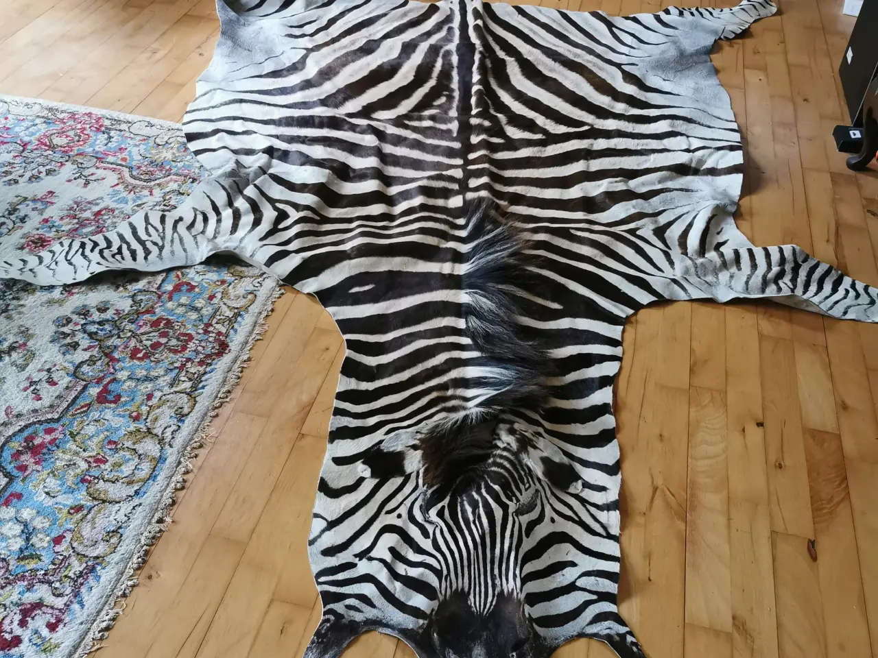 Billede 1 - zebra skind