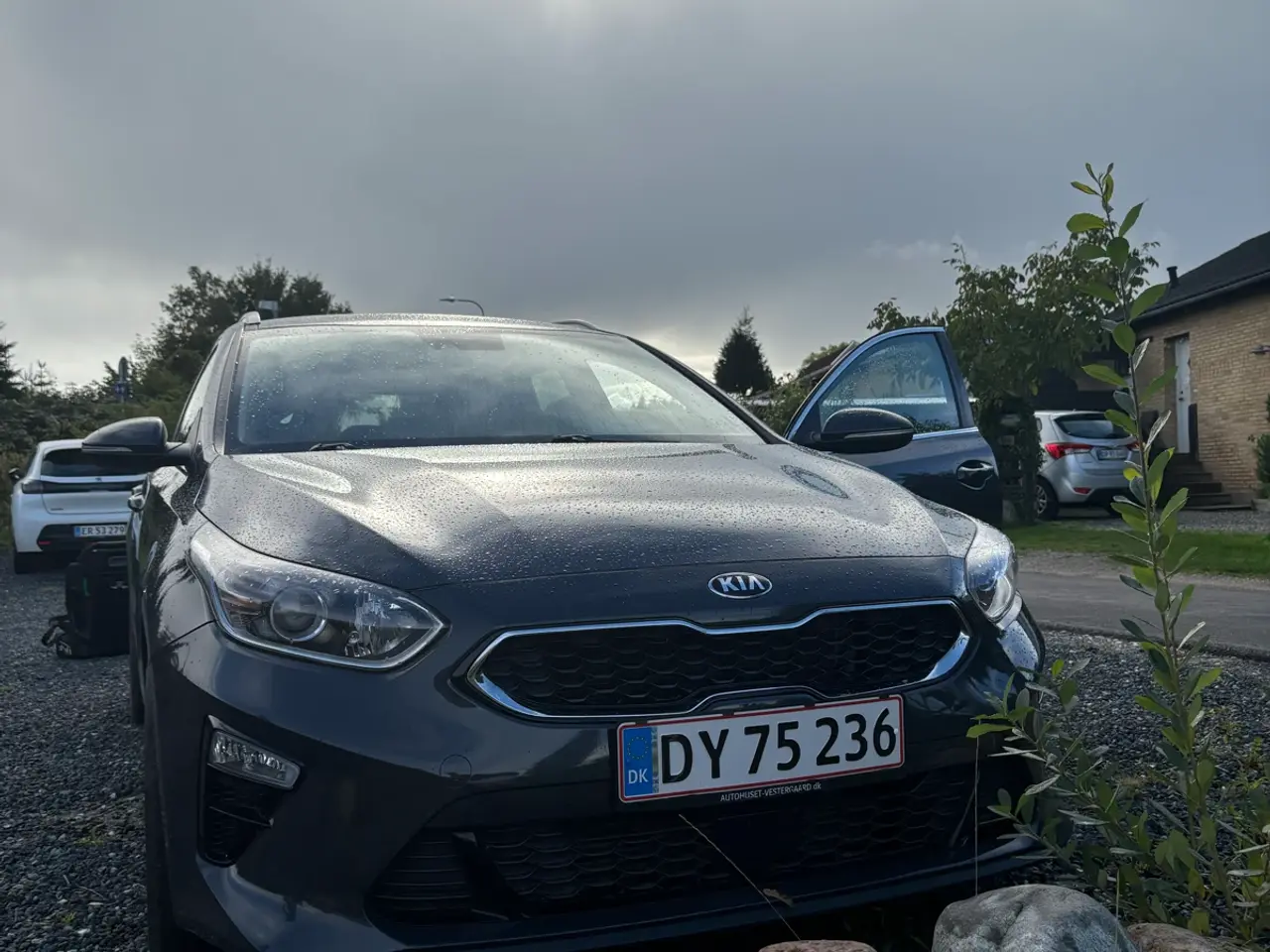 Billede 1 - NYSYNET. Flot og veludstyret Kia Ceed,