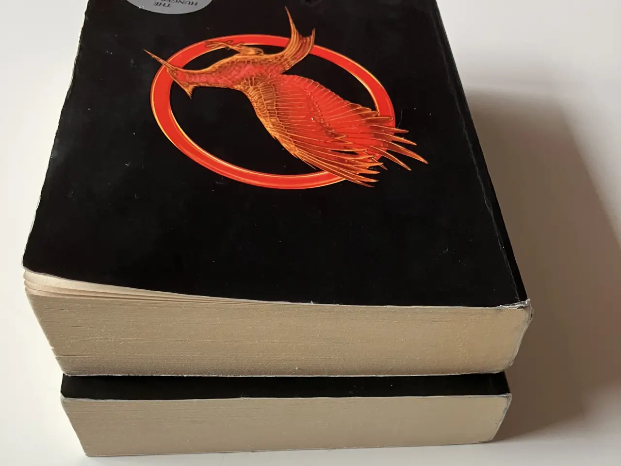 Billede 6 - Catching Fire + Mockingjay (2 books)