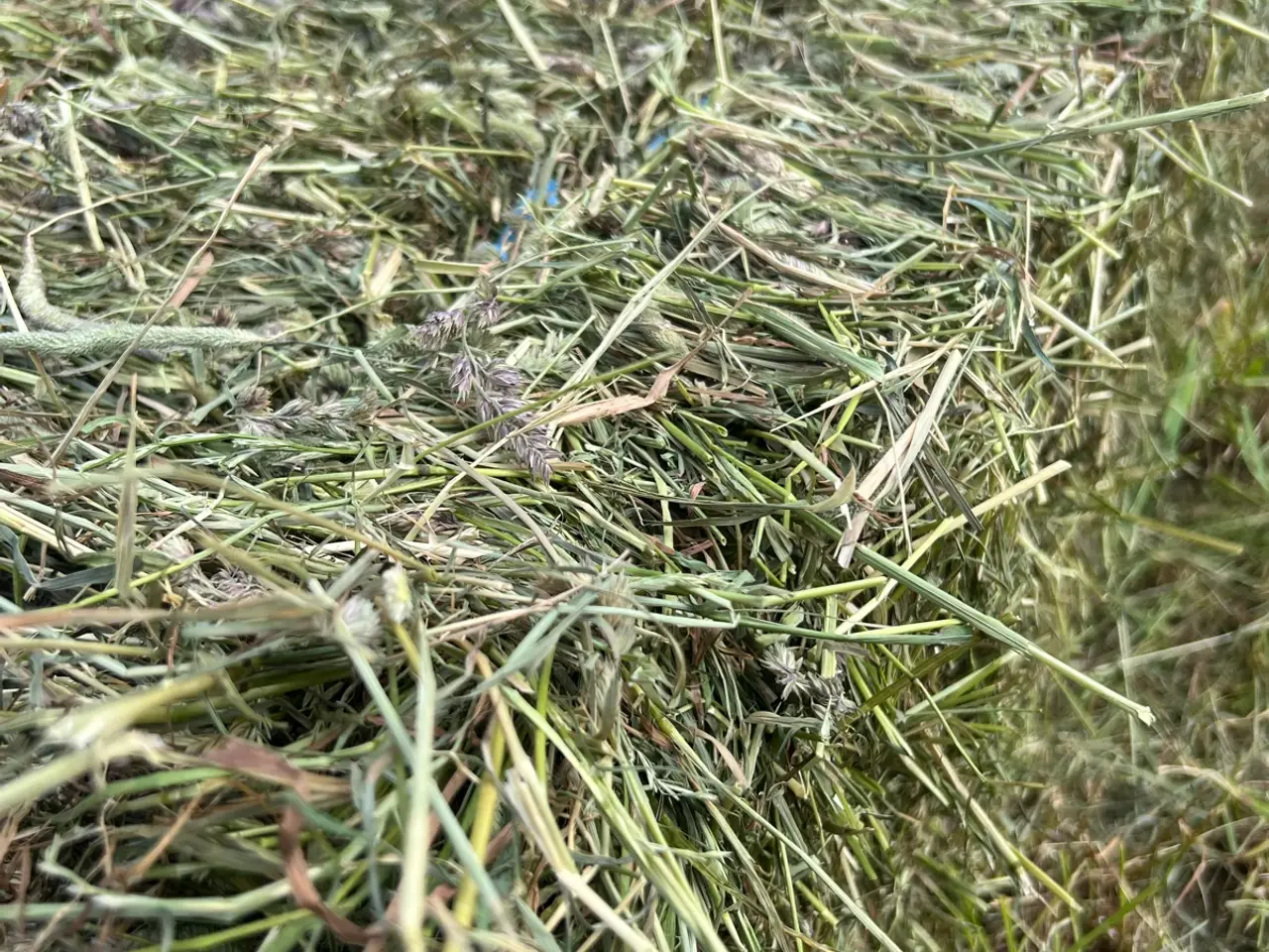 Billede 2 - Miniwrap horsemax 