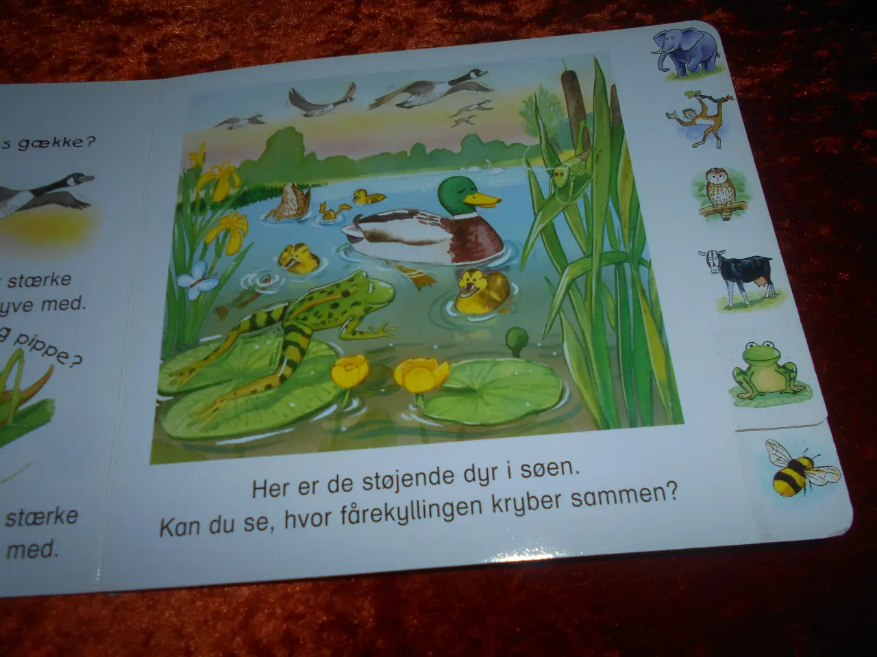 Billede 3 - Har du hørt en løve brøle, Jill Harker