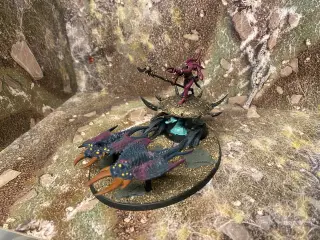 Warhammer Fateskimmer, Herald of Tzeentch on Burni
