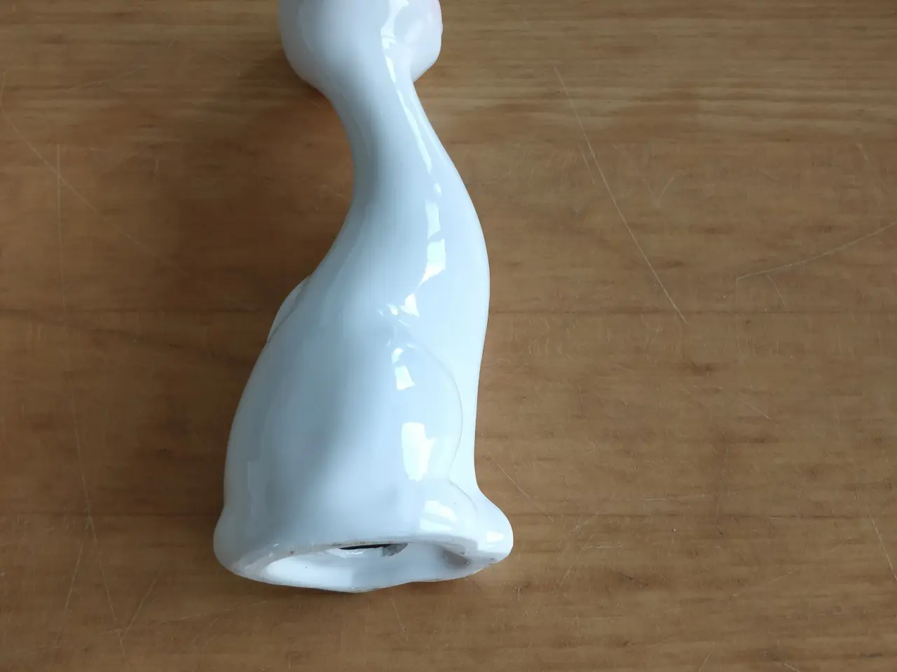 Billede 3 - Kat